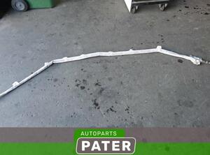 Roof Airbag AUDI A4 (8EC, B7), AUDI A4 (8E2, B6)