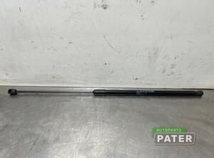 Gas Spring AUDI Q3 Sportback (F3N)