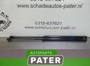 Heckklappendämpfer Nissan Qashqai II J11 904504EA1A P5638581