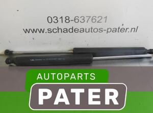 Heckklappendämpfer Renault Vel Satis J 8200246092 P4394313