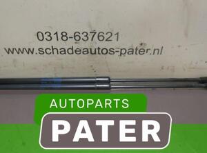 Gasveer kofferruimte SEAT ALTEA (5P1), SEAT ALTEA XL (5P5, 5P8), SEAT TOLEDO III (5P2)