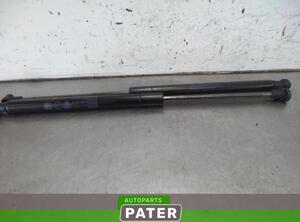 Heckklappendämpfer Fiat Panda 312, 319 2277680420N P8845705