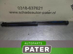 Gasveer kofferruimte FIAT PANDA (169_), FIAT PANDA Hatchback Van (169_)