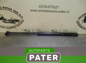 Gasveer kofferruimte FORD C-MAX II (DXA/CB7, DXA/CEU), FORD GRAND C-MAX (DXA/CB7, DXA/CEU), FIAT LINEA (323_, 110_)