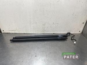 Bootlid (Tailgate) Gas Strut Spring TESLA MODEL X (5YJX)