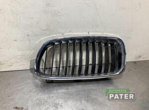 Radiator Grille BMW 3 Touring (F31), BMW 3 Touring Van (F31), BMW 3 Touring Van (G21)