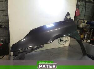 Spatbord PEUGEOT 807 (EB_)