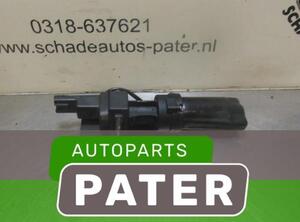 Door Check Strap RENAULT VEL SATIS (BJ0_)