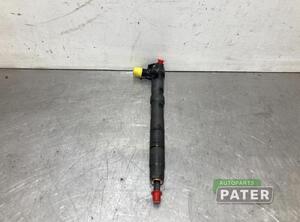 Injector Nozzle SEAT IBIZA IV (6J5, 6P1), SEAT IBIZA IV SC (6J1, 6P5)