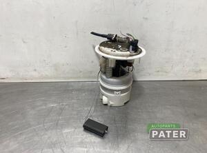 Fuel Pump CITROËN C5 III (RD_)