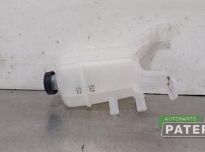 Coolant Expansion Tank KIA NIRO I (DE)