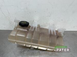 Coolant Expansion Tank TESLA MODEL X (5YJX)