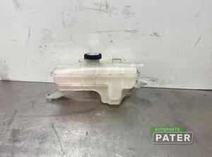 Coolant Expansion Tank LEXUS NX (_Z1_)