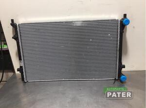 Radiator VW POLO (9N_)