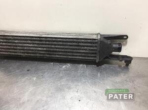 Intercooler FIAT GRANDE PUNTO (199_), FIAT PUNTO (199_), FIAT PUNTO EVO (199_)