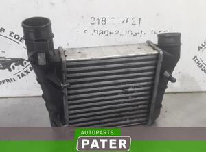 Intercooler AUDI A4 (8EC, B7)