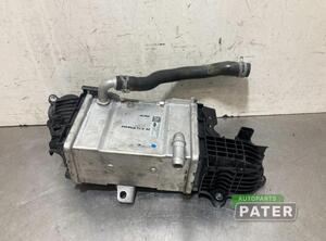 Intercooler FORD FOCUS IV Turnier (HP)