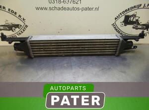 Intercooler FIAT GRANDE PUNTO (199_), FIAT PUNTO (199_), FIAT PUNTO EVO (199_)