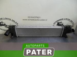 Intercooler FORD FOCUS II (DA_, HCP, DP)