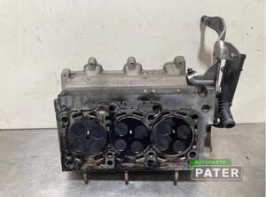 Cylinder Head SKODA FABIA II Combi (545), SKODA ROOMSTER Praktik (5J)