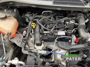 Motor kaal FORD FIESTA VI (CB1, CCN)