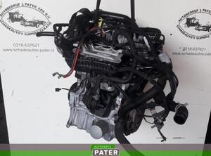 Motor ohne Anbauteile (Benzin) Seat Ibiza IV 6J  P10580636