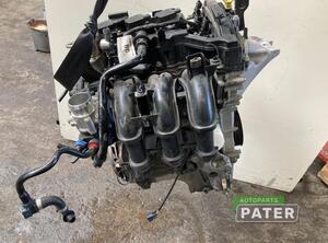 Bare Engine FORD FIESTA VI (CB1, CCN)