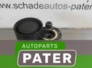 Reparatieset spanarm Poly V-riem RENAULT CLIO III (BR0/1, CR0/1)