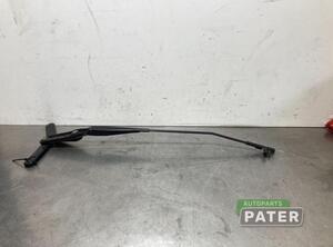 Wiper Arm FORD FOCUS C-MAX (DM2), FORD C-MAX (DM2), FORD KUGA I, FORD KUGA II (DM2)