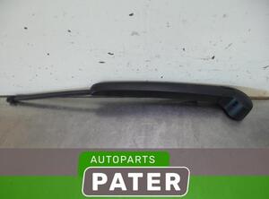 Wiper Arm AUDI A1 (8X1, 8XK), AUDI A1 Sportback (8XA, 8XF)