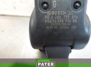 
Pedalbelag für Fahrpedal Peugeot 206 Schrägheck 2A/C 0280755076 P9819683
