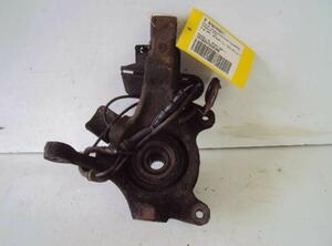 Stub Axle RENAULT Laguna I (556, B56)