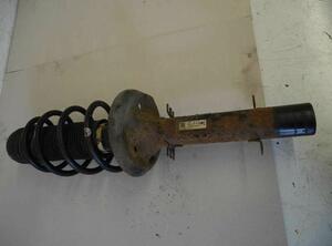 Suspension Strut SKODA Octavia I (1U2)