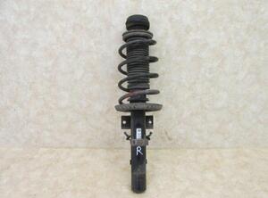 Suspension Strut SKODA Roomster (5J)