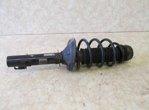 Suspension Strut VW Golf IV (1J1)