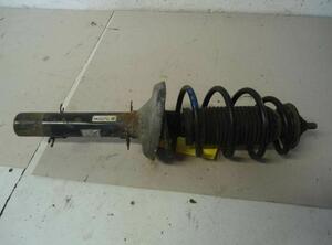 Suspension Strut SKODA Octavia I (1U2)