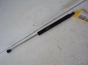 Gas Spring RENAULT Clio II (BB, CB)