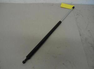 Gas Spring RENAULT Laguna I (556, B56)