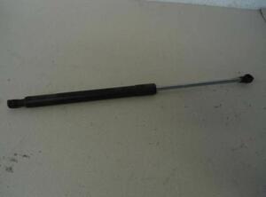 Gas Spring RENAULT Clio III (BR0/1, CR0/1), RENAULT Clio IV (BH)