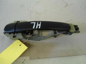 Door Handle VW Golf IV (1J1)