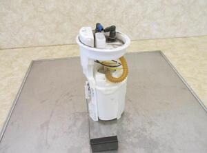 Fuel Pump SKODA Fabia II (542)