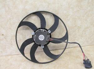 Radiator Electric Fan  Motor VW Caddy III Kasten/Großraumlimousine (2CA, 2CH, 2KA, 2KH)