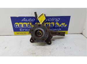 Stub Axle RENAULT KANGOO Express (FW0/1_)