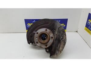 Stub Axle BMW X1 (E84)