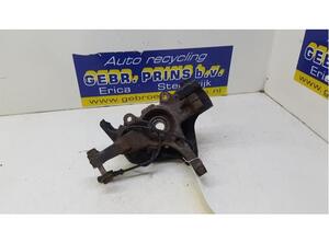 Stub Axle FIAT Grande Punto (199), FIAT Punto (199), FIAT Punto Evo (199)