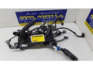 Wiring Harness TOYOTA Yaris (P13)