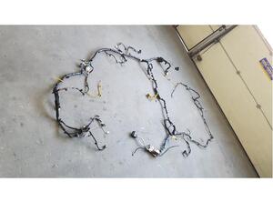 Wiring Harness HYUNDAI Kona (OS, OSE, OSI)