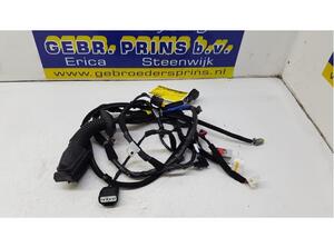 Wiring Harness HYUNDAI Kona (OS, OSE, OSI)