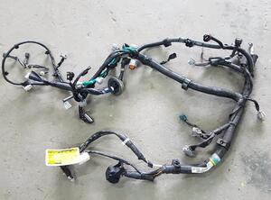 Wiring Harness SUZUKI Alto (GF)