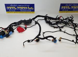 Wiring Harness RENAULT Captur I (H5, J5), RENAULT Clio IV (BH)